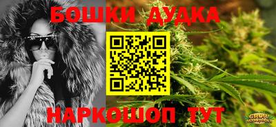 сатива Будённовск