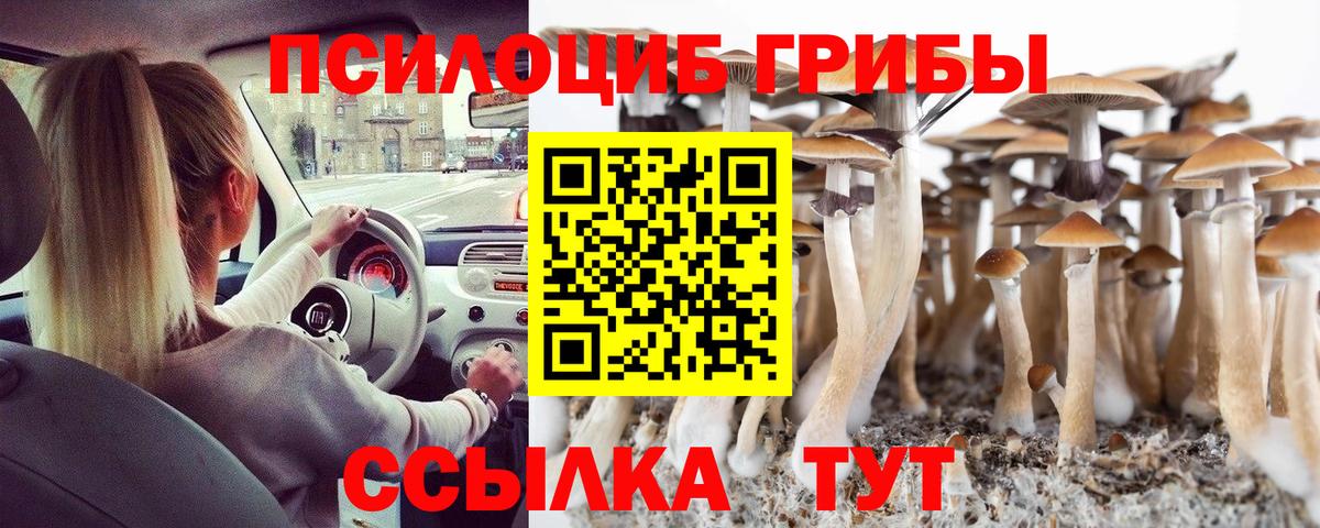 Псилоцибиновые грибы прущие грибы Михайловск