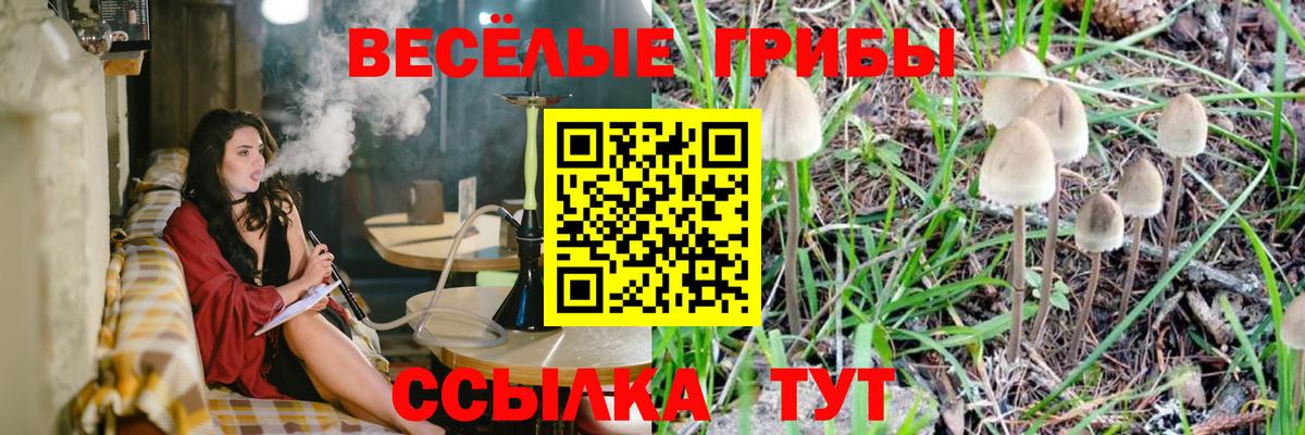 Галлюциногенные грибы мицелий  Вход с VPN  Михайловск 